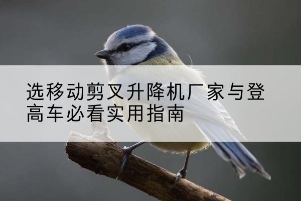 莱西电动升降机厂家-选移动剪叉升降机厂家与登高车必看实用指南