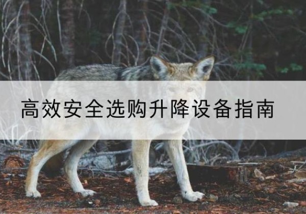 莱西升降货梯厂家推荐-*安全选购升降设备指南